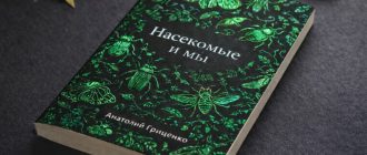 Тиснение фольгой - универсальный прием, который помогает выделить главное